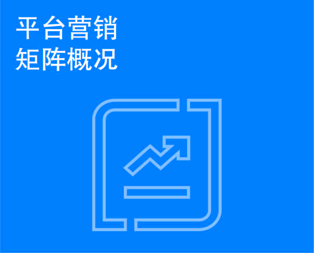 平台营销矩阵概况